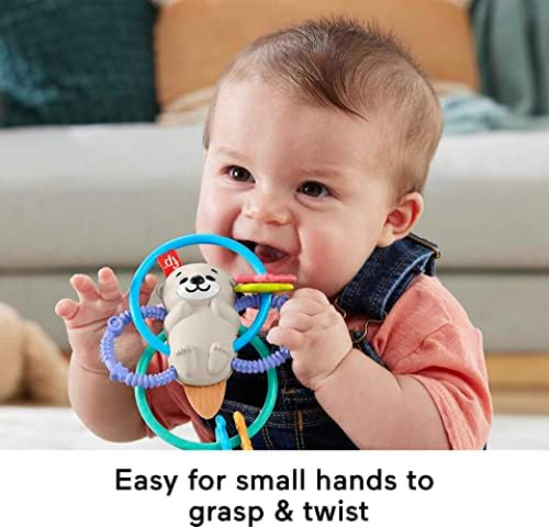 Fisher-price Sonajero 2-en-1: Nutria Giratoria Y Mordedor