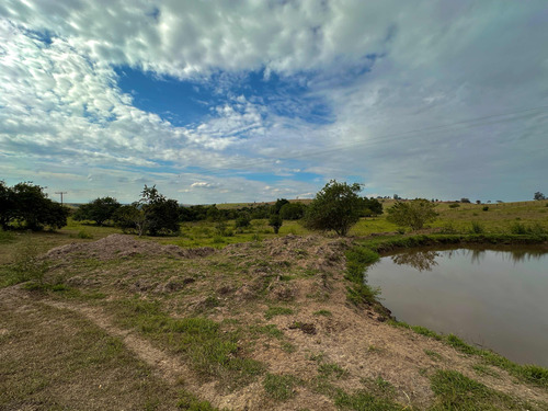 Sítio Terreno 42,000m2 Conchas Sp