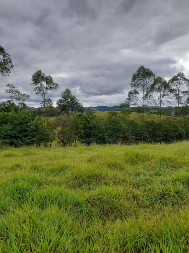 Imagem 13 de 14 de A27- -lotes Para Construção De Chácaras