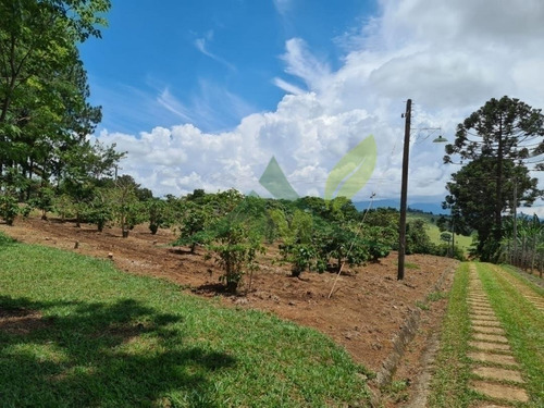 Belíssima Chácara À Venda Em Piracaia 12.100m Frente Exclusiva Par Água - 1644