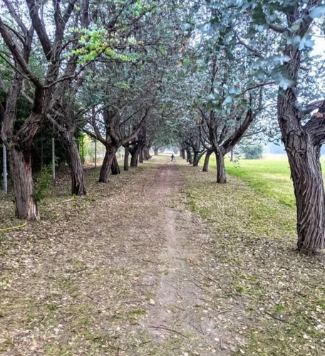 Terreno Lote En Venta En Casuarinas Del Pilar, Zelaya, Pilar