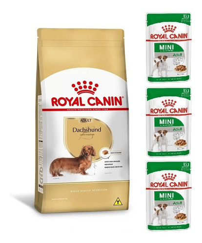 Kit Ração Dachshund Adult 1kg E 3 Sachês Mini Royal Canin