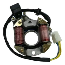 Comprar Estator Zanella Zb 110 2 Bobinas Internas Grandes - Gbl