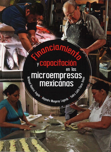 Financiamiento Y Capacitacion En Las Microempresas Mexicanas