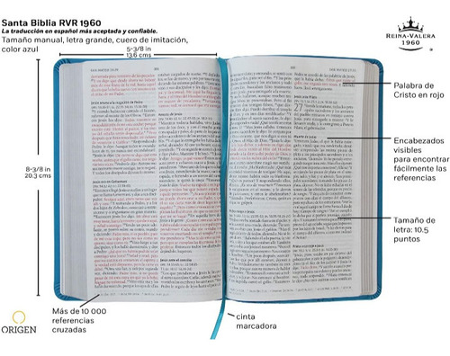 Imagen 3 de 6 de Biblia Reina Valera 1960 Letra Grande Símil Piel Azul, Libro
