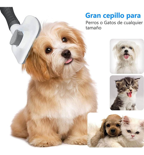 Practico Cepillo Para Mascota Eliminar Remover Pelo Muerto