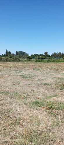 Parcela 5250m2 Rol Propio Las Cabras