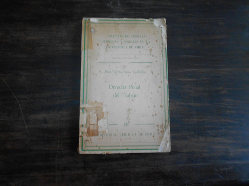 Derecho Penal Del Trabajo.       Juan Carlos Soto Calderón.