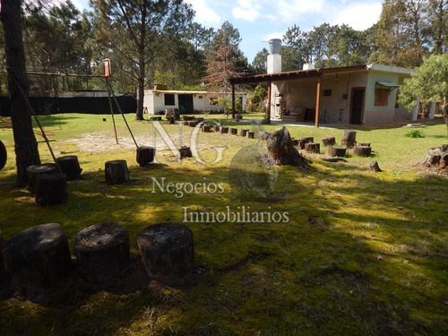 Casa En Brio. Argentino Con Terreno