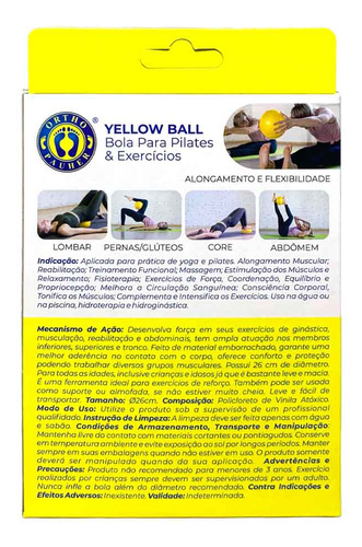 Bola Para Pilates, Fisioterapia E Exercícios Amarela