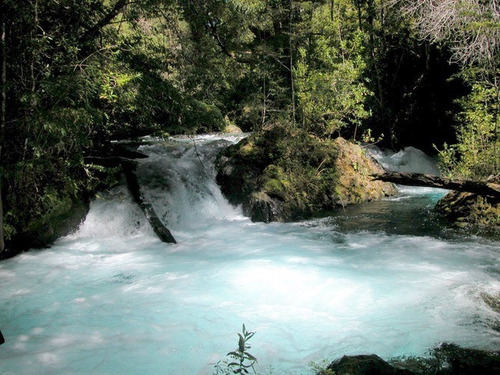 60 Hectáreas De Hermosa Patagonia Con Rio