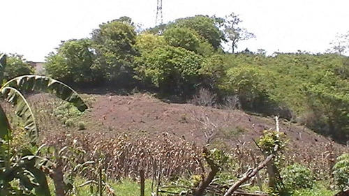 Vendo Rancho 20 Has Libramiento Adolfo López Mateos Tuxpan Veracruz