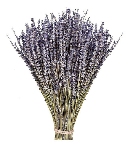 Decoración De Flores De Lavanda Secas, 200 G