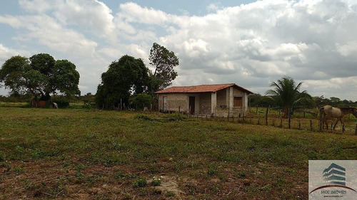 Imagem 10 de 30 de Granja A Venda Entre Monte Alegre E Brejinho