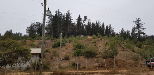 Imagen 8 de 30 de Oferta Terreno En Laguna Torca Lago Vichuquén