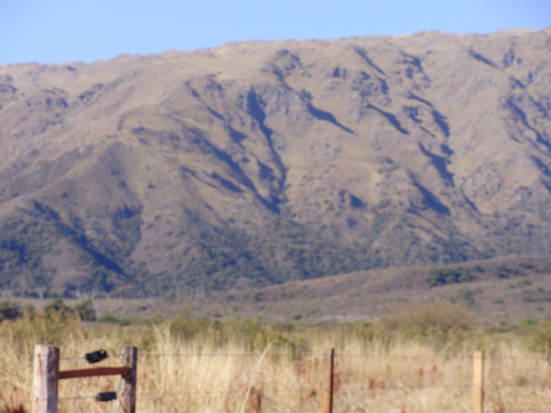 Terreno-merlo-cortaderas-san Luis