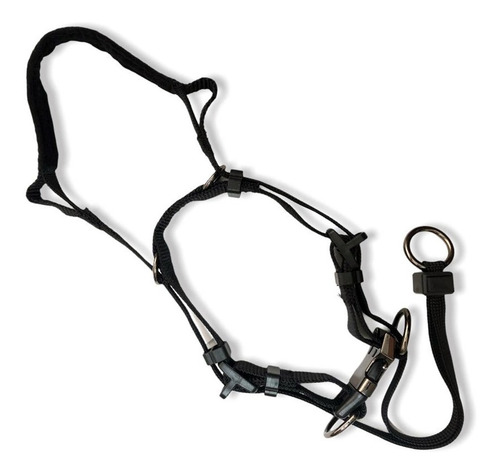 Imagen 4 de 6 de Collar/bozal Anti Tirones Para Perro Nº 2 Halti