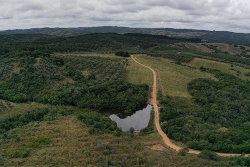 Imagen 25 de 30 de Campo Ovicola En Garzon - 212 Hectareas