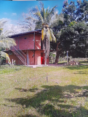 Imagen 29 de 30 de En Venta Finca En Ocumare De La Costa, Aragua