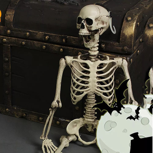 Esqueleto Humano Para Decoración De Fiesta De Halloween
