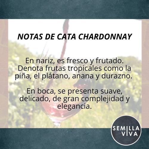 Imagen 2 de 10 de Vino Orgánico Chardonnay Familia Cecchin X 750 Cc