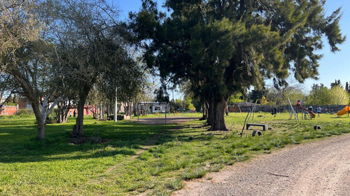 Lotes 150 Entre 41 Y 42 - Liquidámbar San Carlos