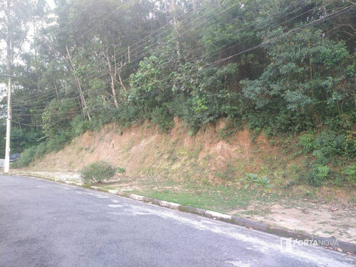 Terreno À Venda, 960 M² Por R$ 265.000,00 - Jardim Dos Ypês - Embu Das Artes/sp - Te0275