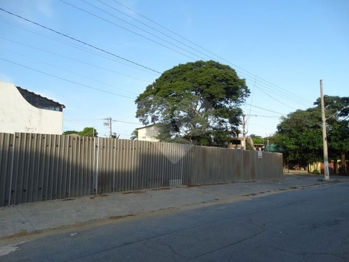 Terreno Alto De Pinheiros - 353-im317426
