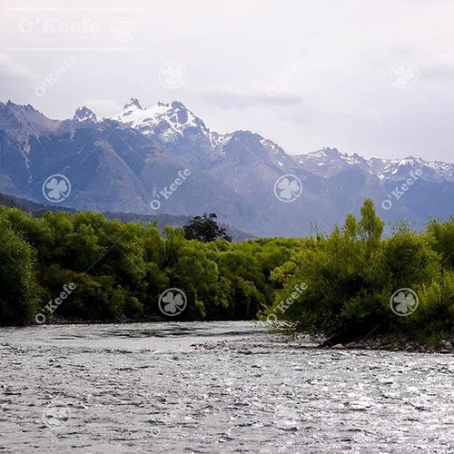 Imagen 10 de 17 de Chacra / Fracción En Venta En Patagonia Argentina - 12 Has Sobre Rio - Fly Fishing Pesca Con Mosca.