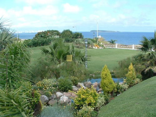 Imagen 7 de 30 de Venta De Casa De 4 Dormitorios En La Mansa, 7000 M2 De Terreno