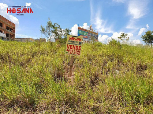 Imagem 4 de 6 de Terreno Comercial E Residencial A Venda Em Avenida - Te0411