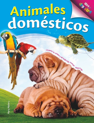 Animales Domesticos