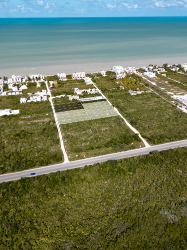Terrenos A 200 Metros Del Mar En San Benito Yucatán