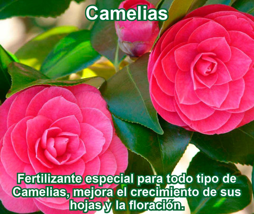 Fertilizante Especial Para Camelias Por 20 Gr (rinde 5 L)