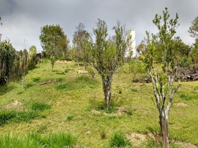 Imagem 14 de 15 de Ref.: 881 - Chacara Em São Roque Para Venda - V881