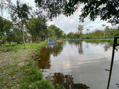 Imagem 15 de 23 de Chácara Em Itanhaém, No Bairro Parque Vergara, Com Tanque De Peixes, Árvores Frutíferas, Plantas Ornamentais Ref: 8262/ac