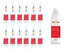 Comprar Kit 12 Tinturas Yellow Alfaparf + Oxidante 10 Vol Yellow 