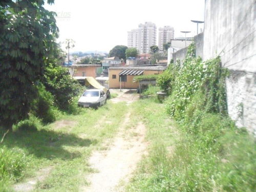 Imagem 3 de 12 de Terreno Para Venda, 0.0 M2, Vila Pereira Barreto - São Paulo - 1798