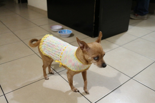 Colección Paseo Para Perrita Talla 2