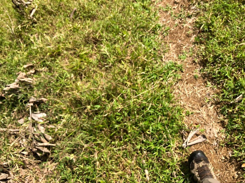 Imagen 4 de 7 de Finca 28.000 M2, Rio Jiménez, Guácimo, Limón. Con Todos Los Servicios