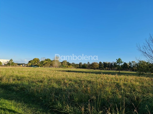 Imagen 12 de 17 de Terreno Fraccion En Venta O Permuta Ubicado En Francisco Álvarez, Moreno, G.b.a. Zona Oeste
