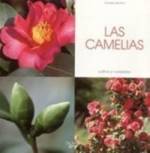 Las Camelias - Cultivo Y Cuidados, Daniela Beretta, Vecchi