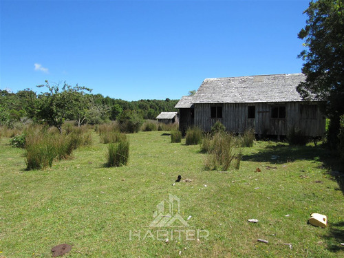 Agrícola En Venta En Hualaihue