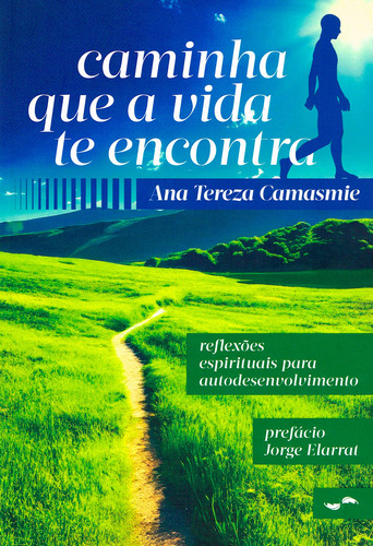 Caminha Que A Vida Te Encontra, De Ana Tereza Camasmie. Editora Intervidas, Capa Mole, Edição 1 Em Português, 2024