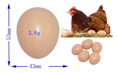Huevos Plásticos Falsos De Gallina