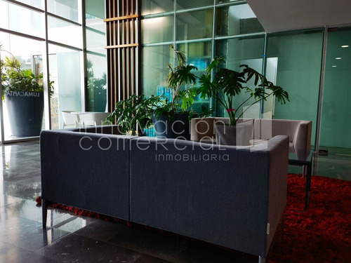 Oficina Ejecutiva En Renta / Venta, En Corporativo Luma, Milenio Iii