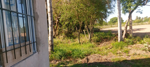 Vendo Casa En Terreno De Ha Y Media, Saladas