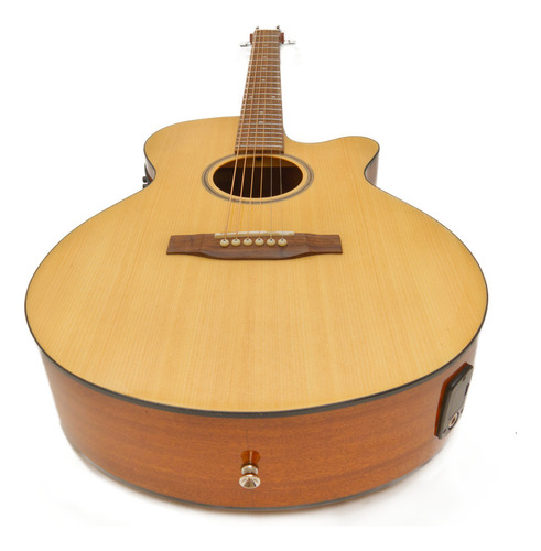Guitarra Electroacústica Bamboo Stage Spruce 40 Gloss Con Funda Acolchada
