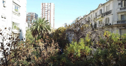 W - Ugarteche - Botanico