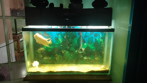 Oferta Pecera Acuario 240 Litros